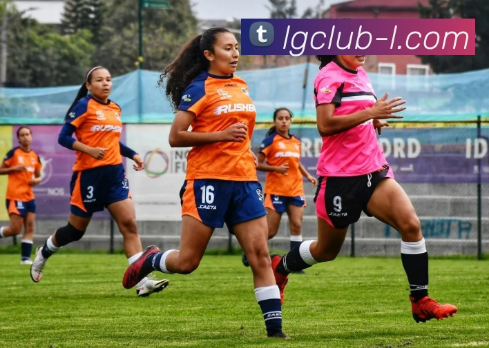 App Interface Preview